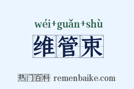 维管束是什么意思的图片